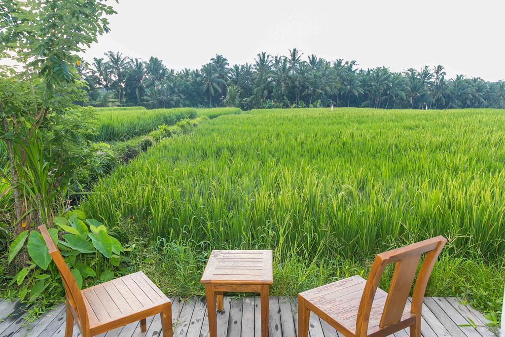 Solo Villas & Retreat Ubud Exterior foto